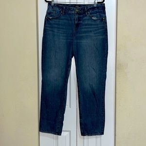 Express Boyfriend Low Rise Jean